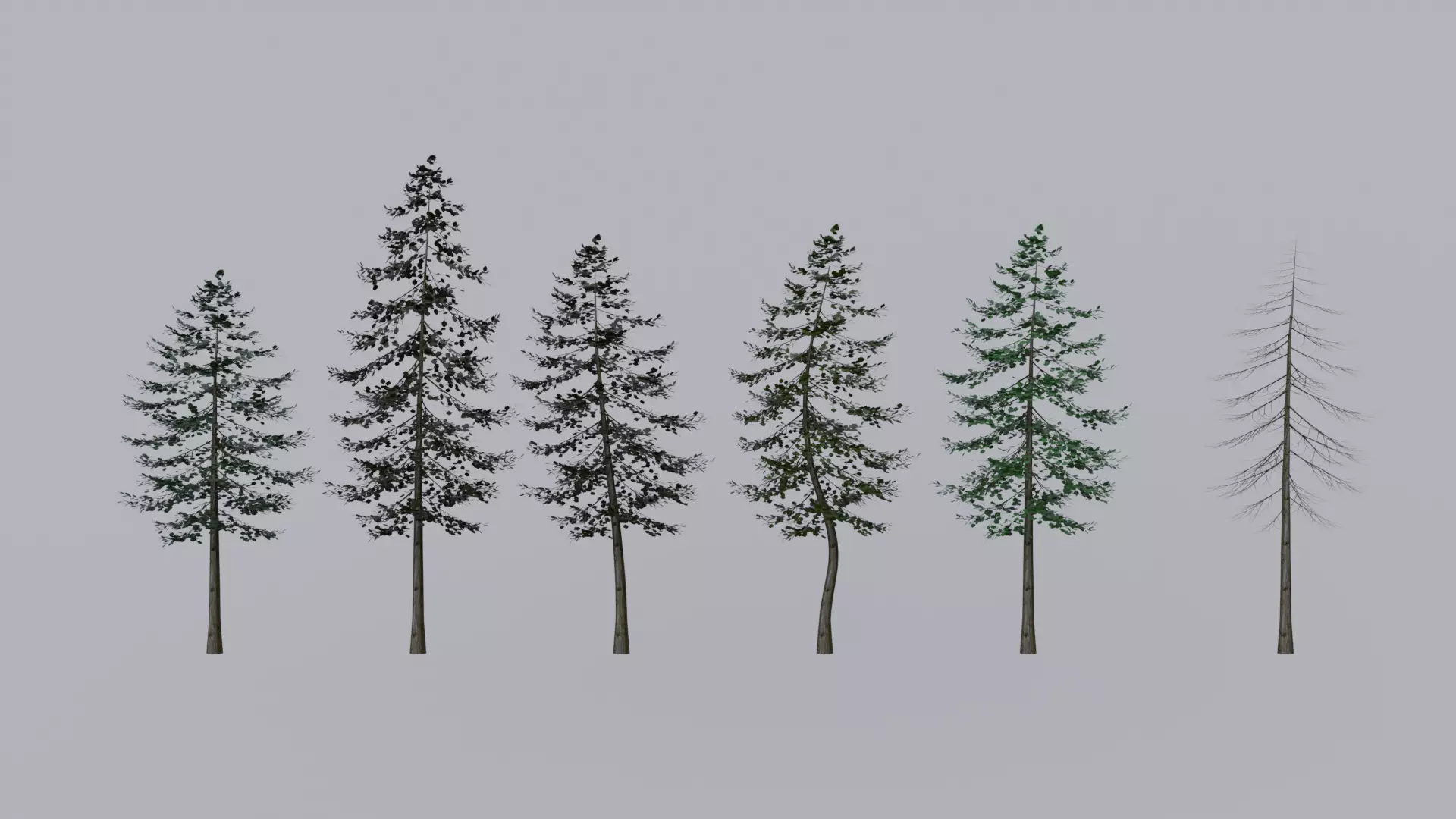 Pine Trees Collection Low-poly 3D model