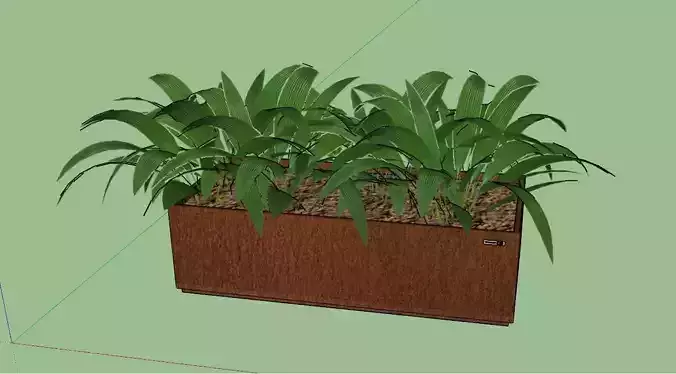 plantas jardineira 3D model