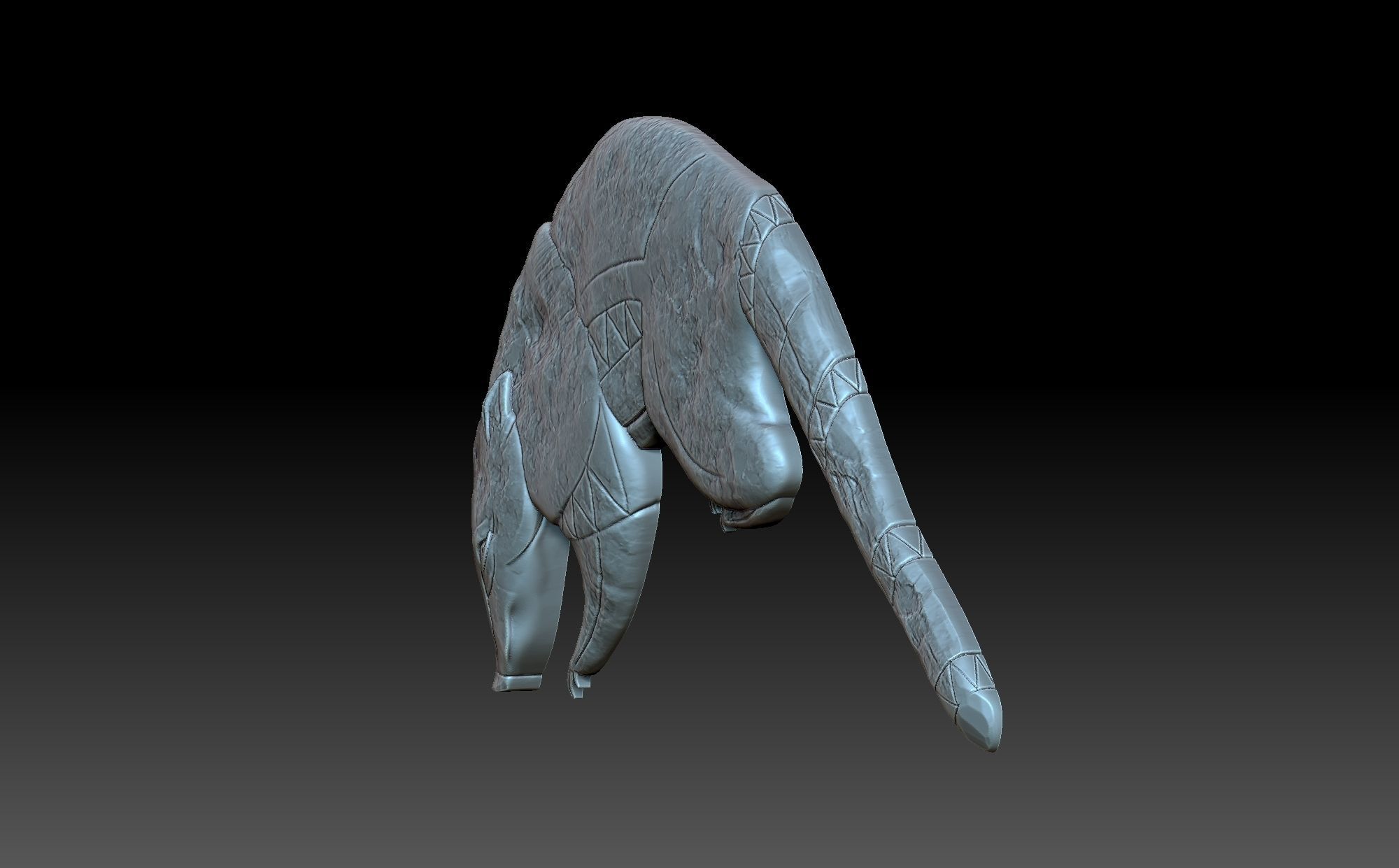 Coati Maia 3D print model_2