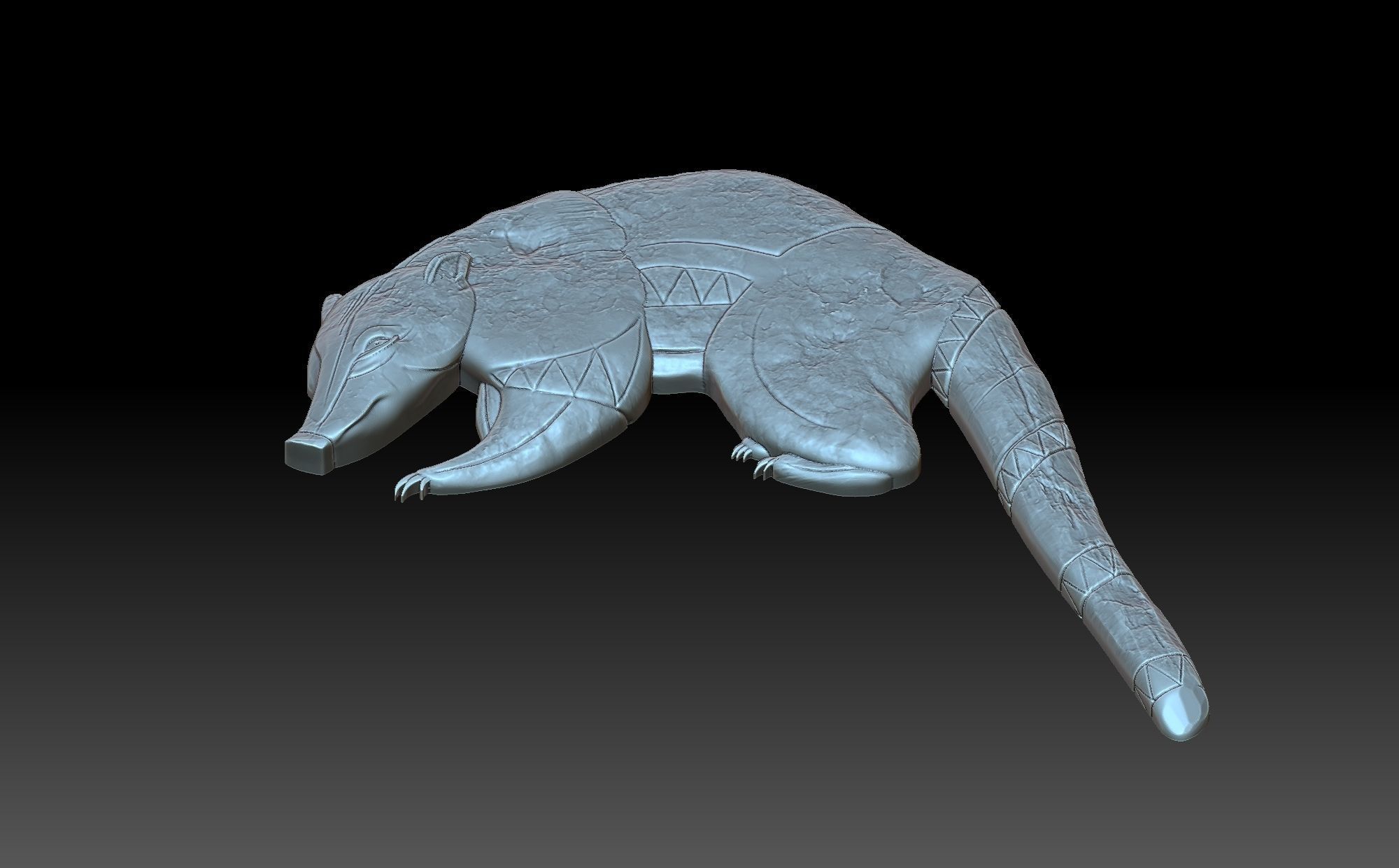 Coati Maia 3D print model_6