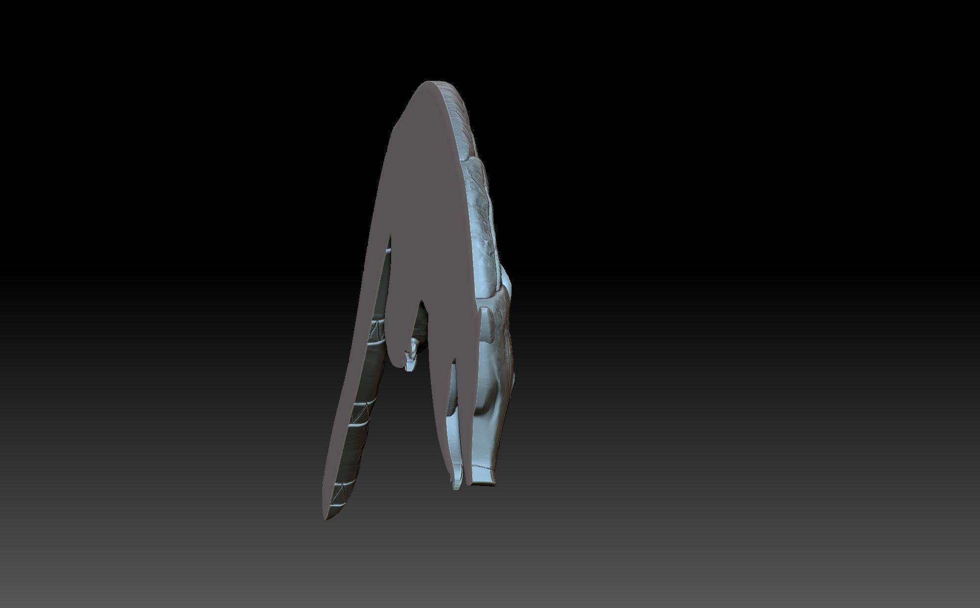 Coati Maia 3D print model_4