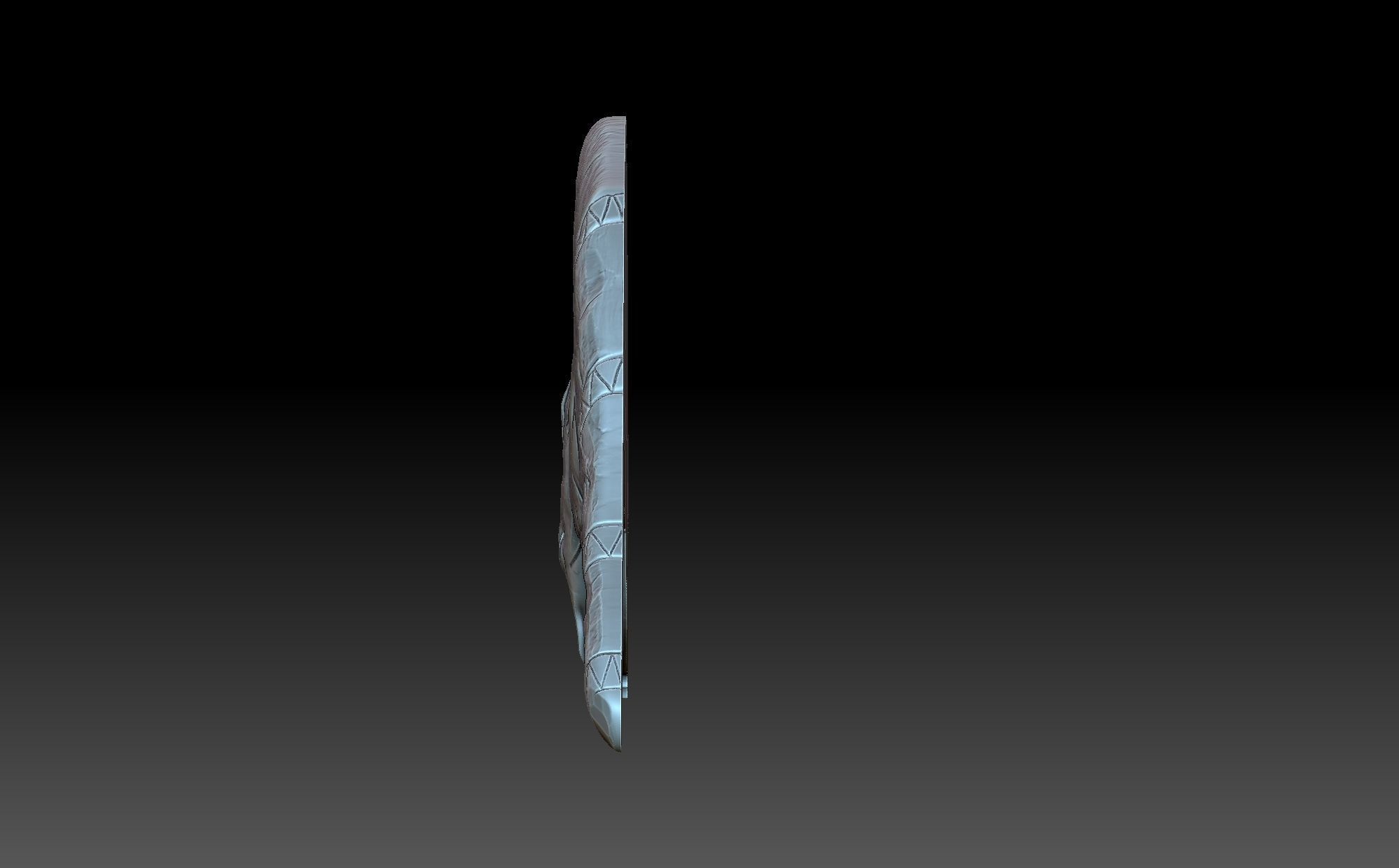 Coati Maia 3D print model_3