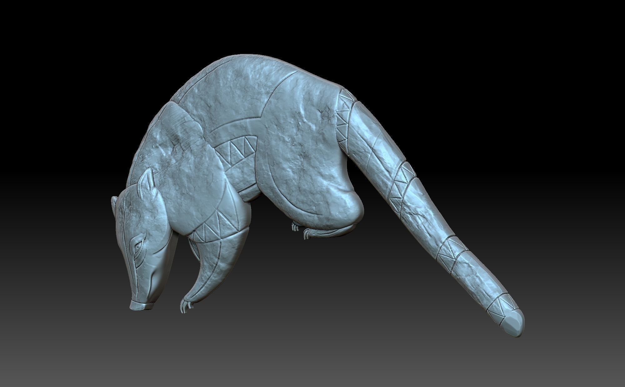 Coati Maia 3D print model_1