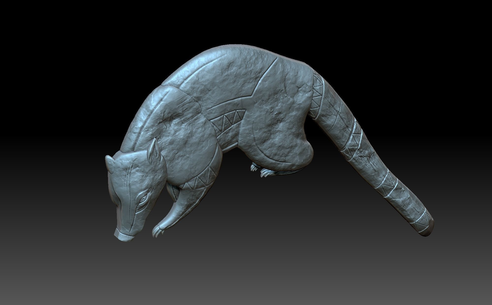 Coati Maia 3D print model_7
