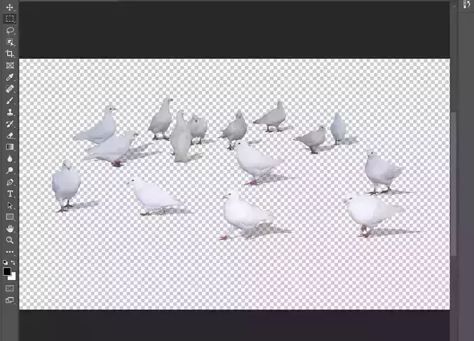pigeon ps texture 3D model