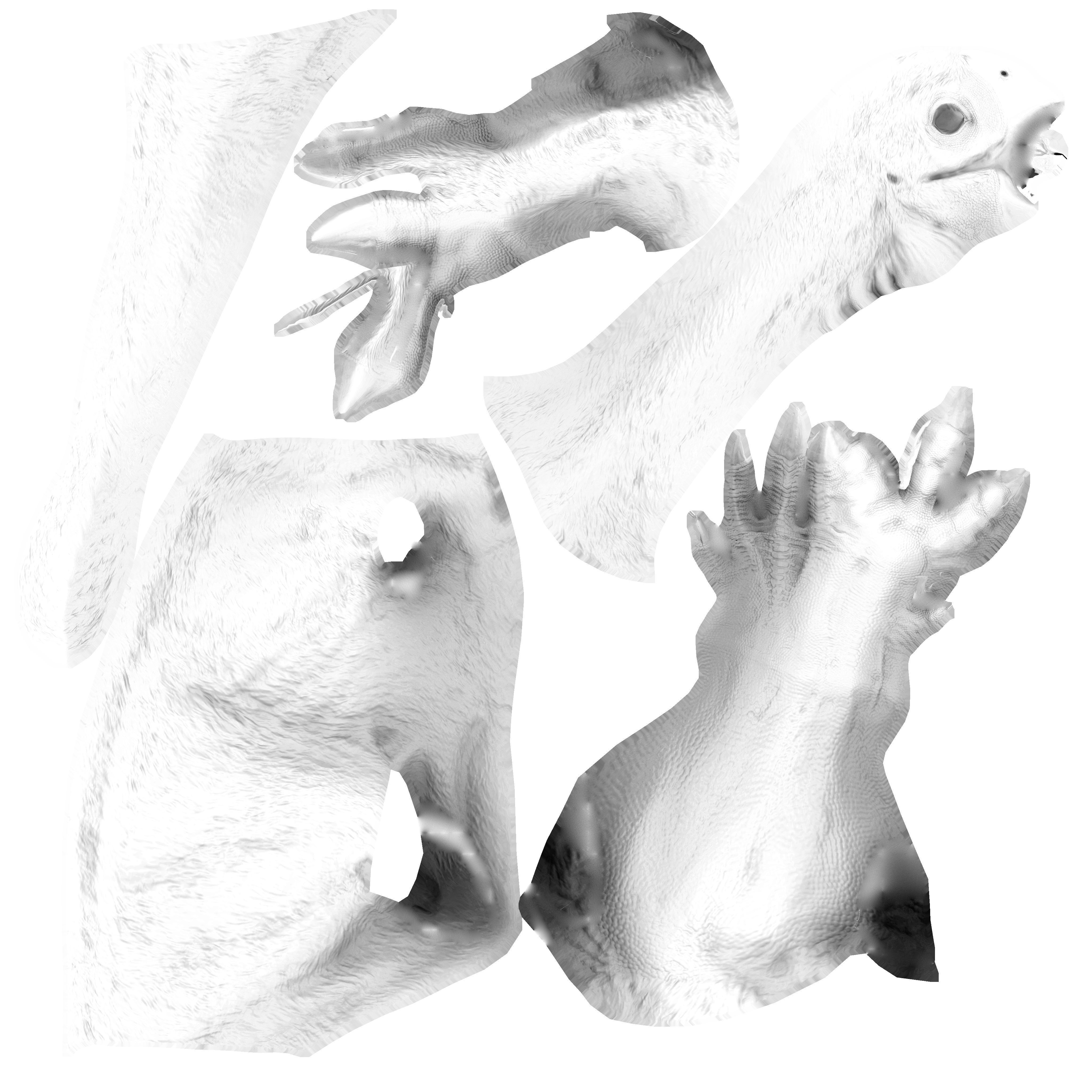 Gigantoraptor dinosaur Low-poly 3D model_2