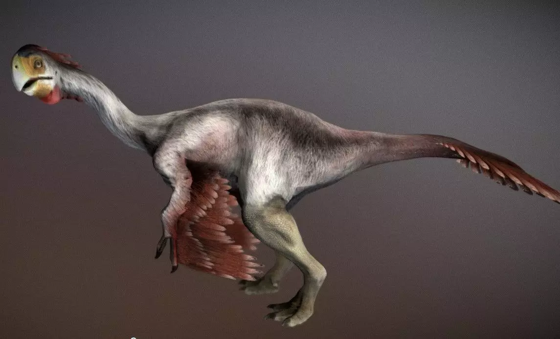 Gigantoraptor dinosaur Low-poly 3D model_0