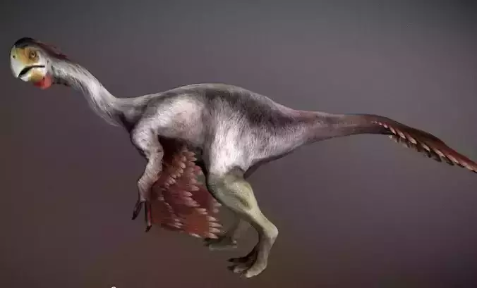Gigantoraptor dinosaur