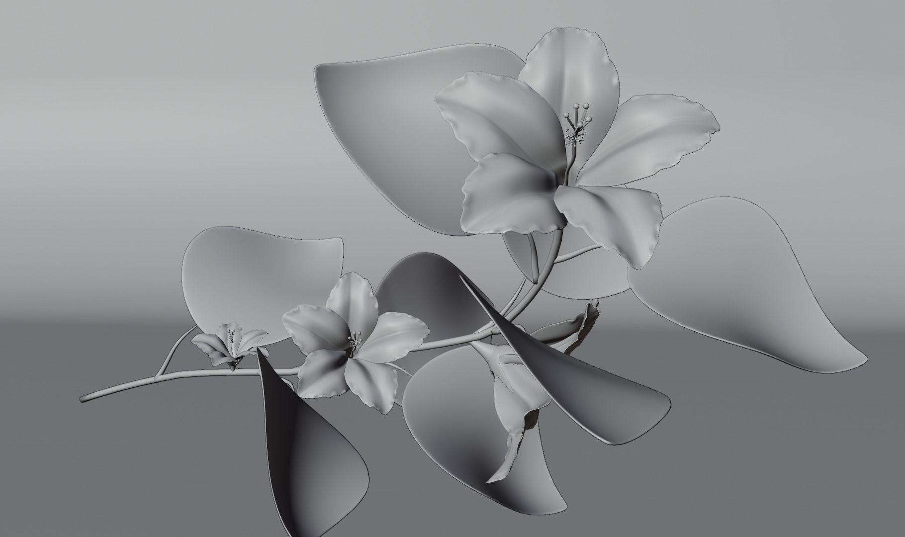 Flower Hibiscus  3D model_9
