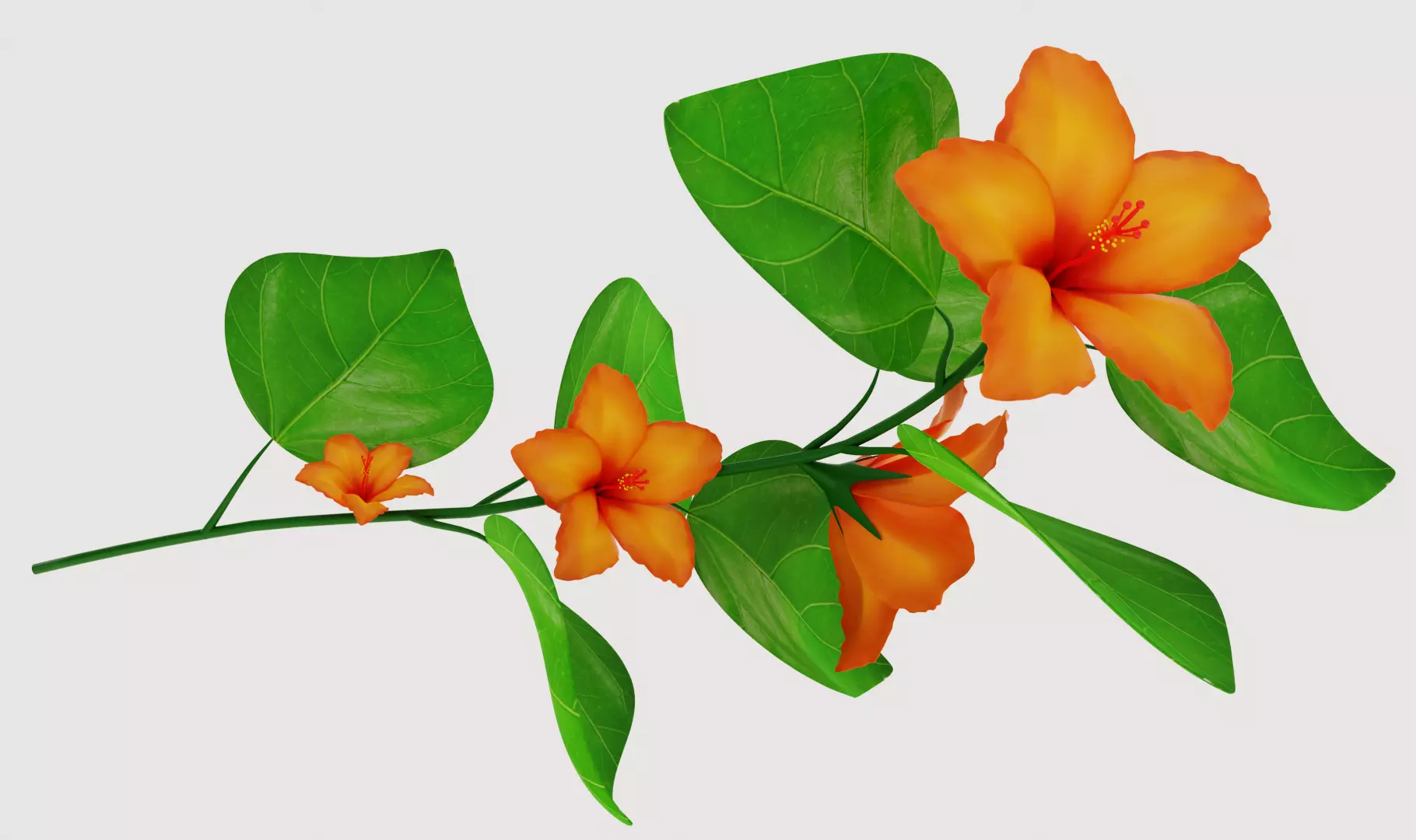 Flower Hibiscus  3D model_0