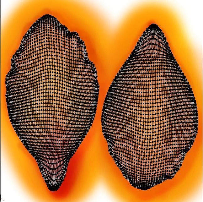 Flower Hibiscus  3D model_7