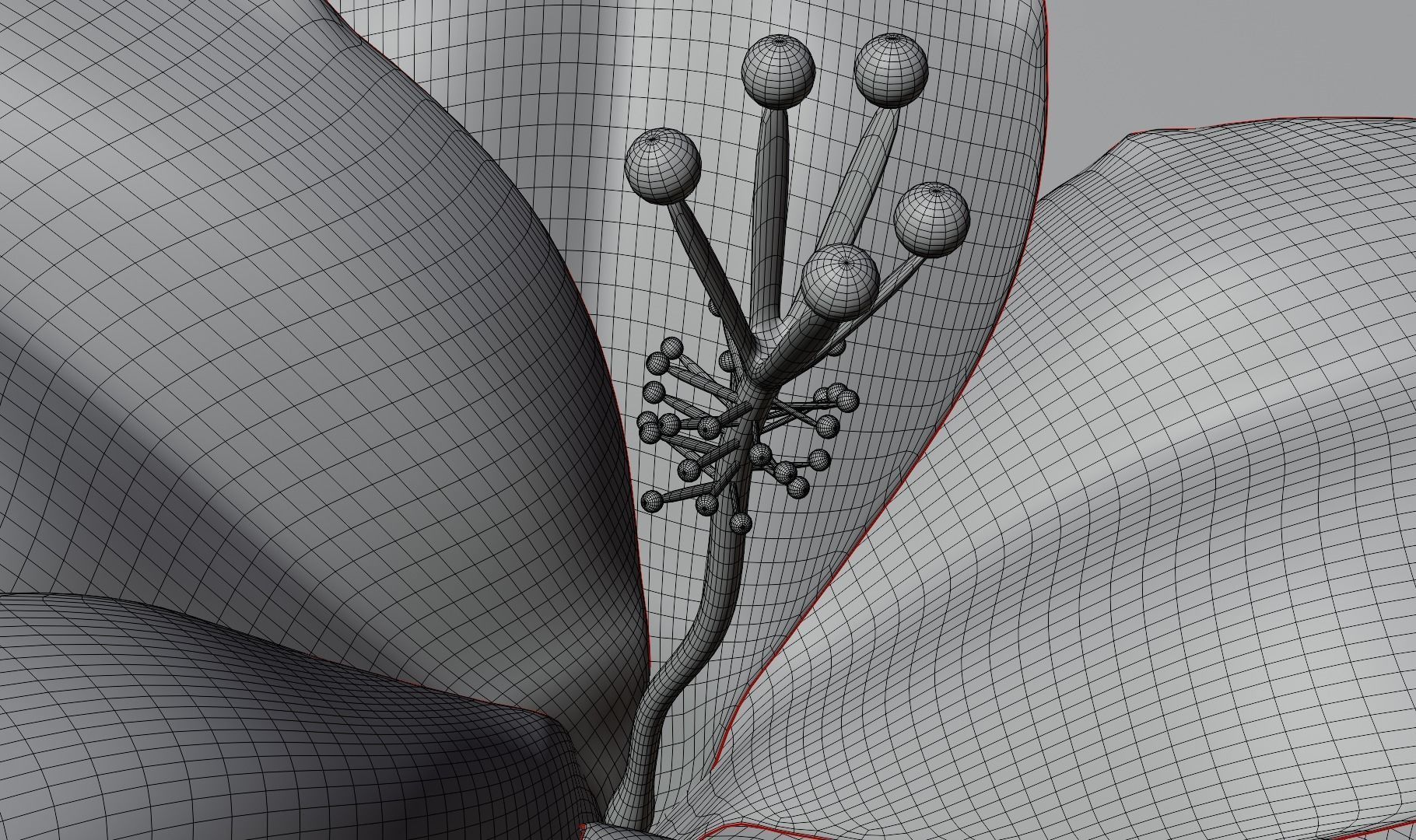 Flower Hibiscus  3D model_6