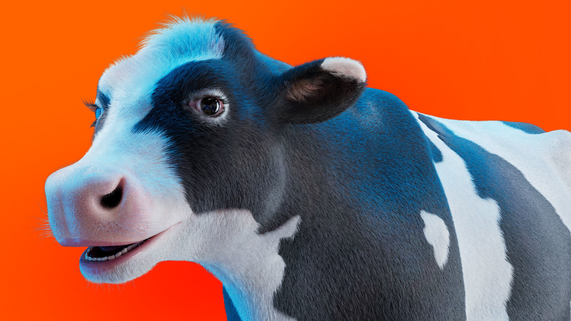 Cow Rigged Fur 3D model 3D model_2