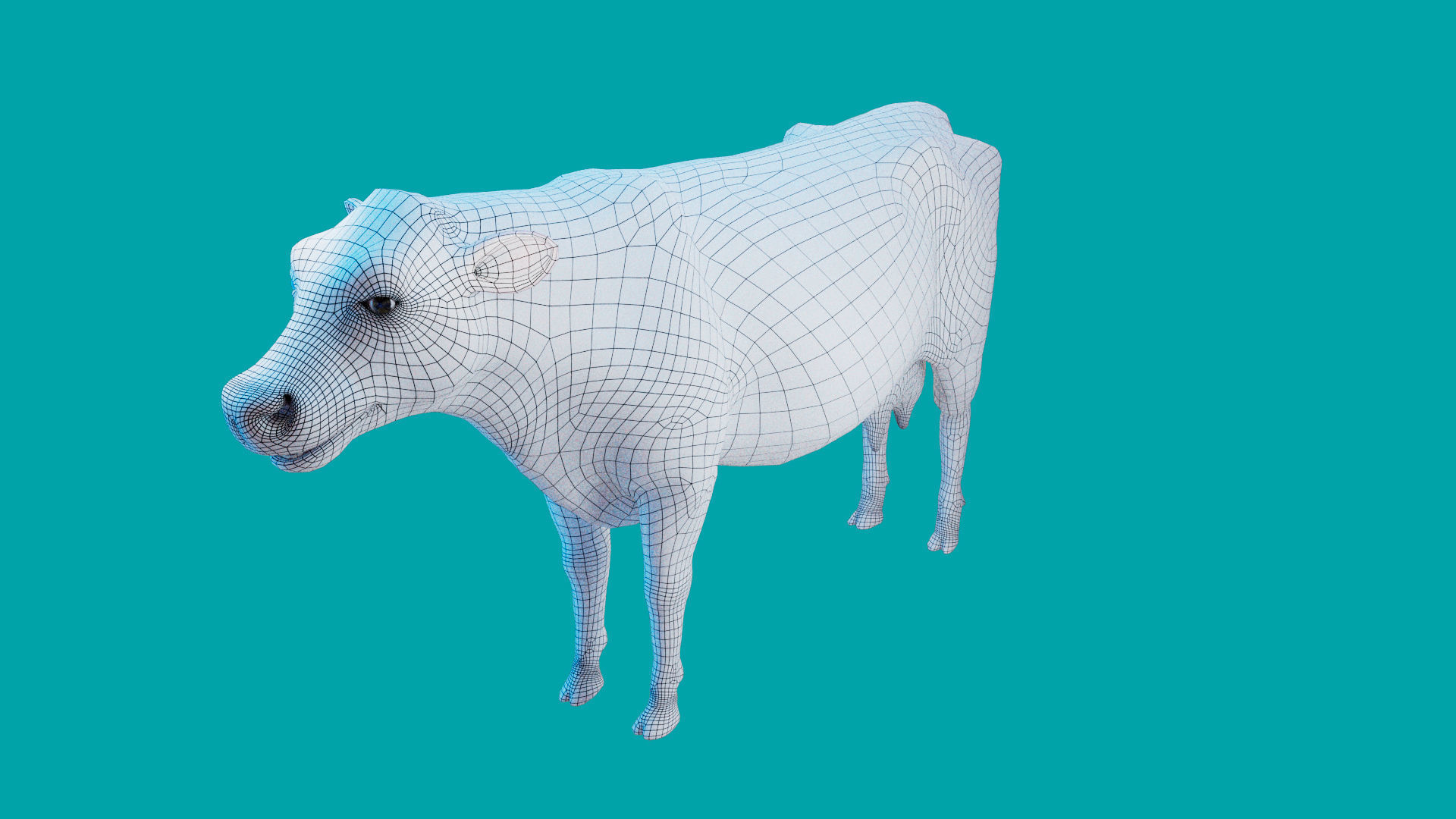 Cow Rigged Fur 3D model 3D model_36