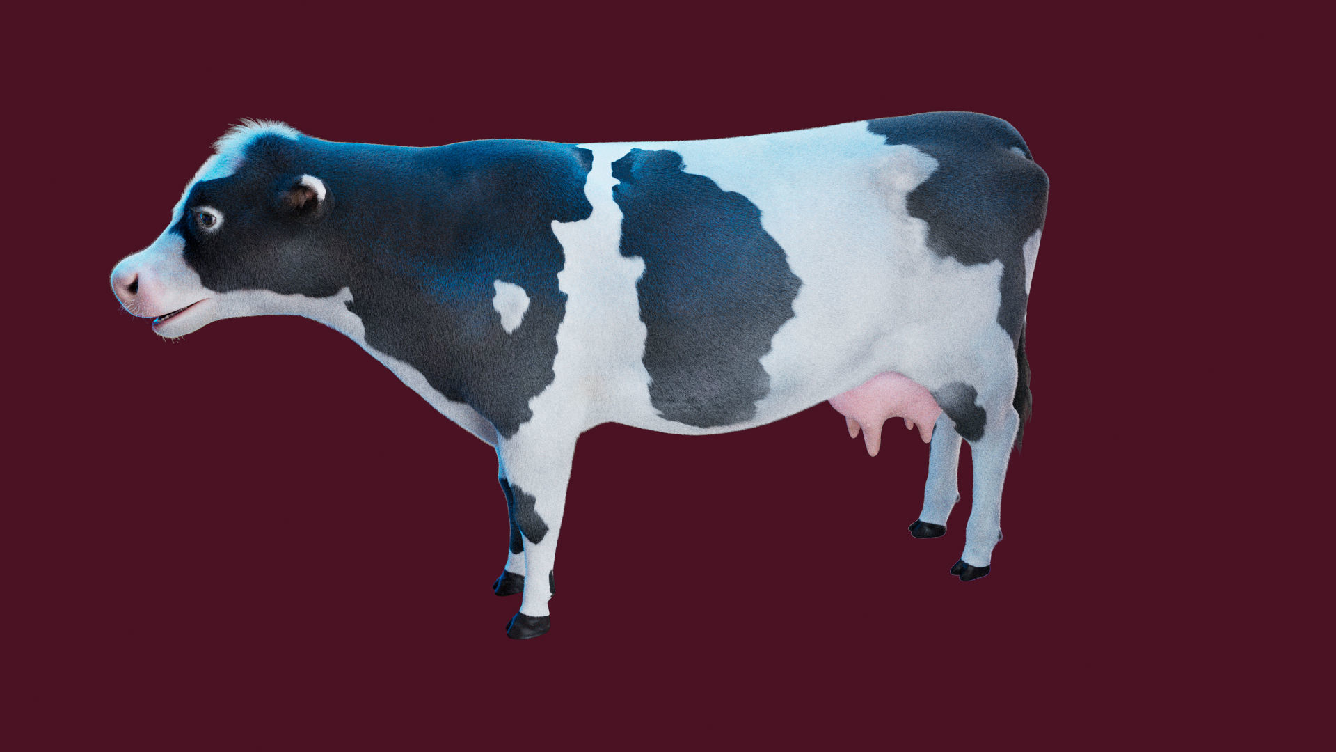 Cow Rigged Fur 3D model 3D model_14