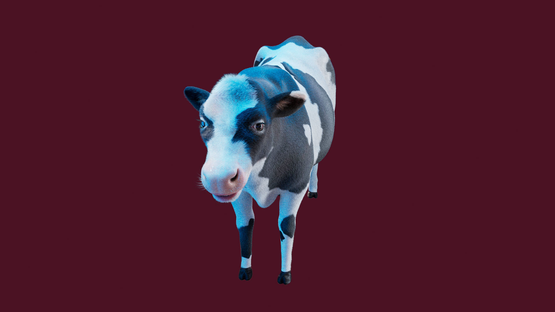 Cow Rigged Fur 3D model 3D model_6