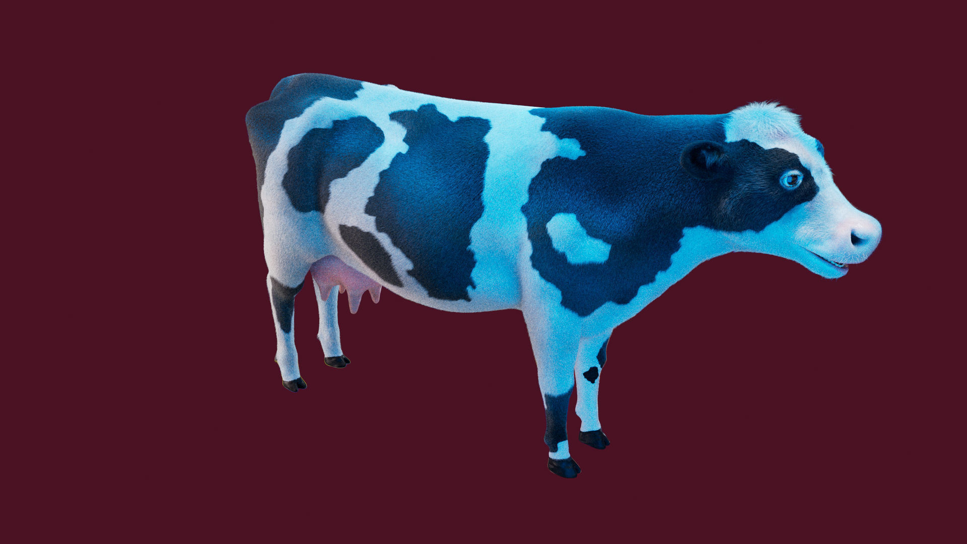 Cow Rigged Fur 3D model 3D model_20