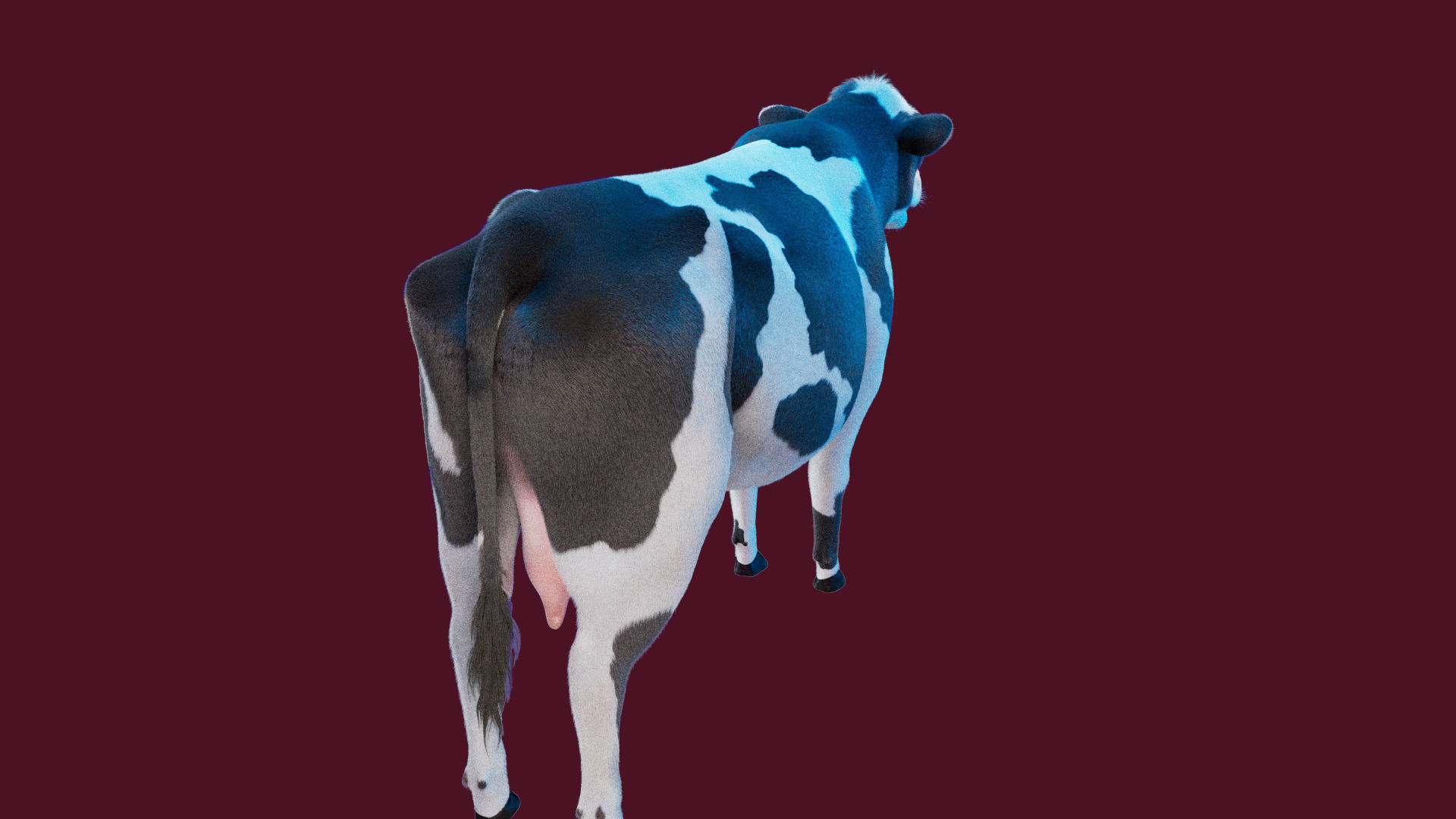 Cow Rigged Fur 3D model 3D model_19