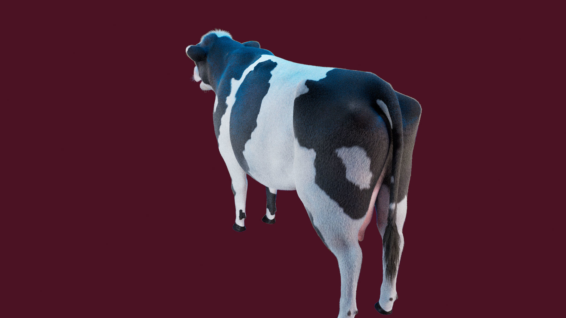 Cow Rigged Fur 3D model 3D model_16