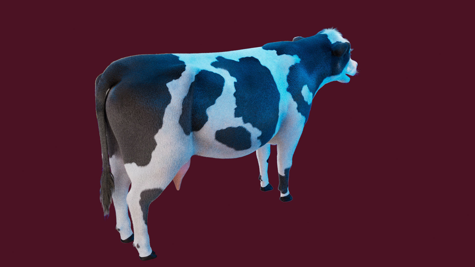 Cow Rigged Fur 3D model 3D model_22