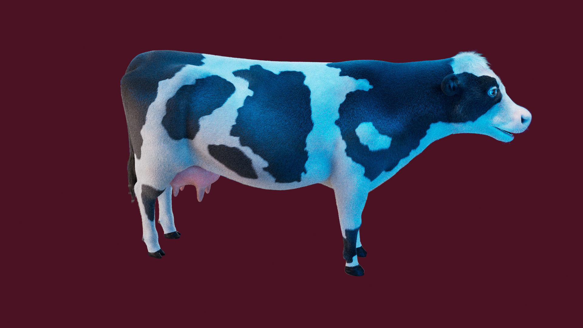 Cow Rigged Fur 3D model 3D model_17