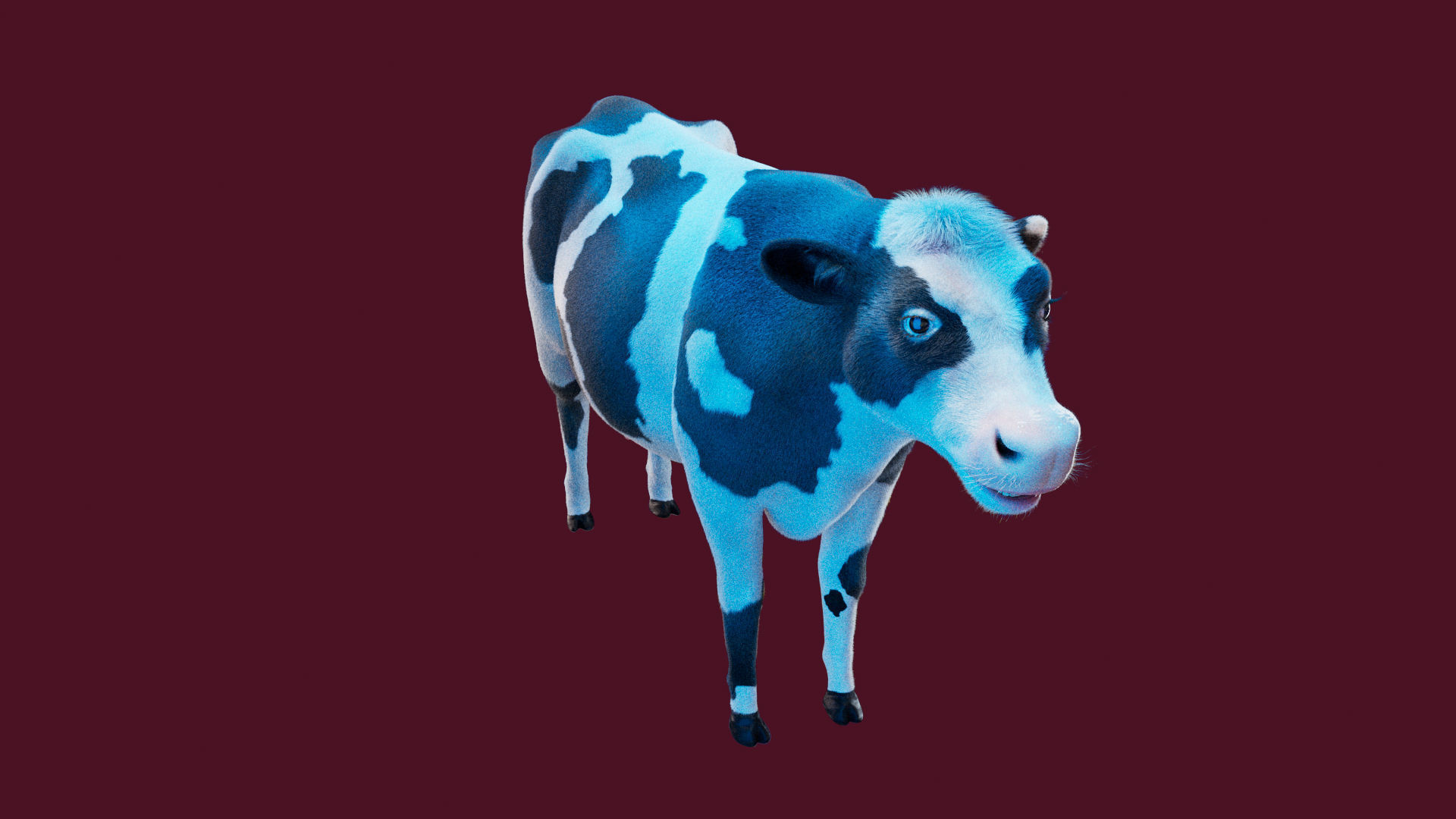 Cow Rigged Fur 3D model 3D model_25