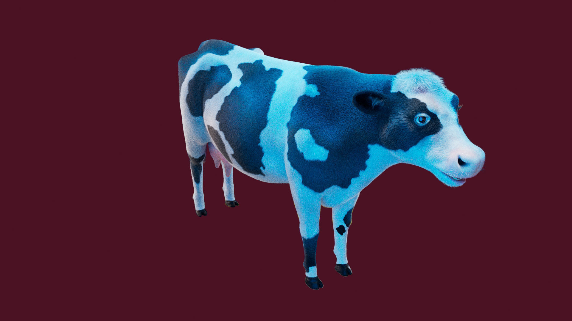 Cow Rigged Fur 3D model 3D model_24