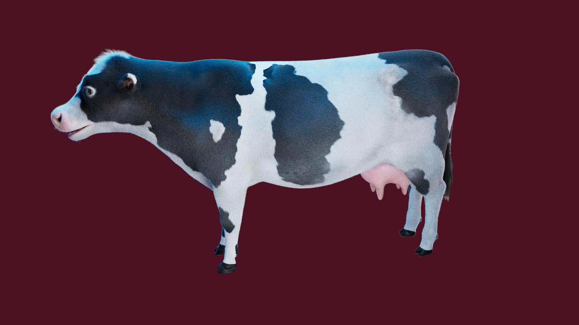 Cow Rigged Fur 3D model 3D model_15