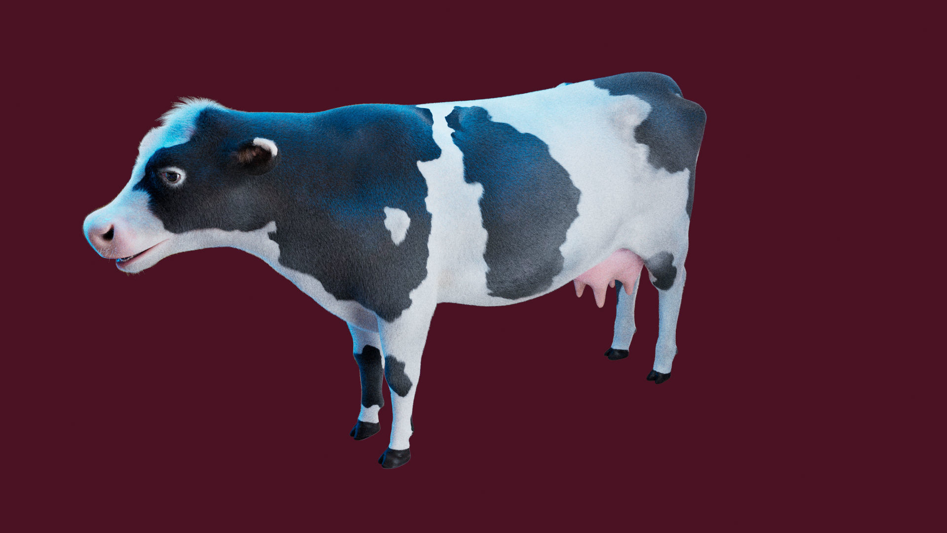 Cow Rigged Fur 3D model 3D model_5