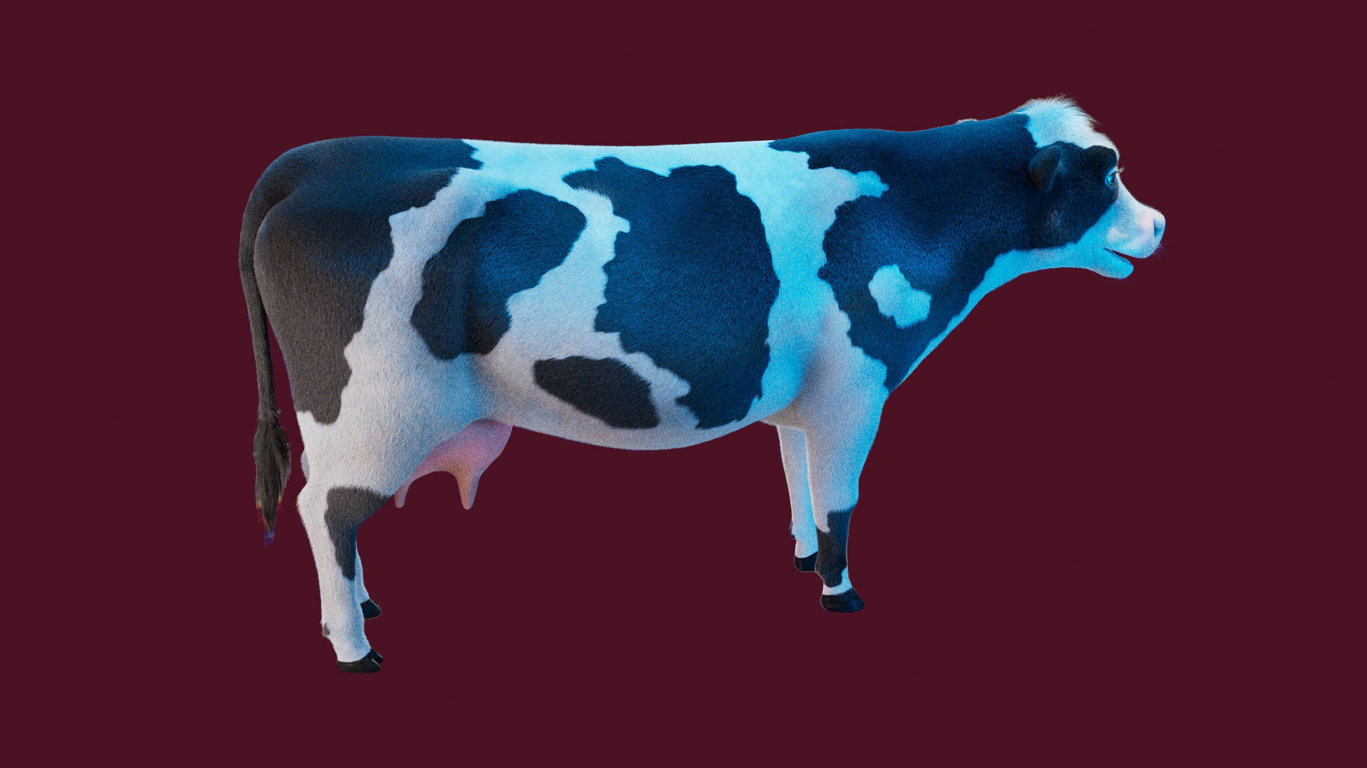 Cow Rigged Fur 3D model 3D model_18