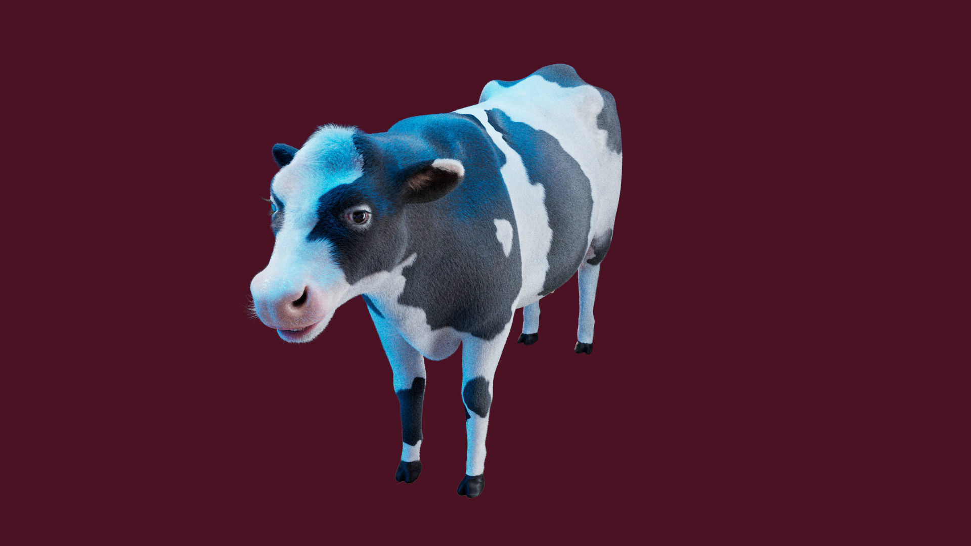 Cow Rigged Fur 3D model 3D model_8