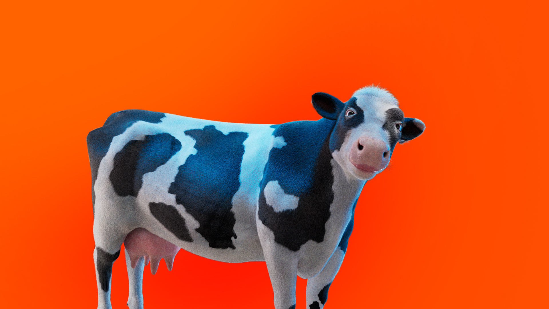 Cow Rigged Fur 3D model 3D model_3