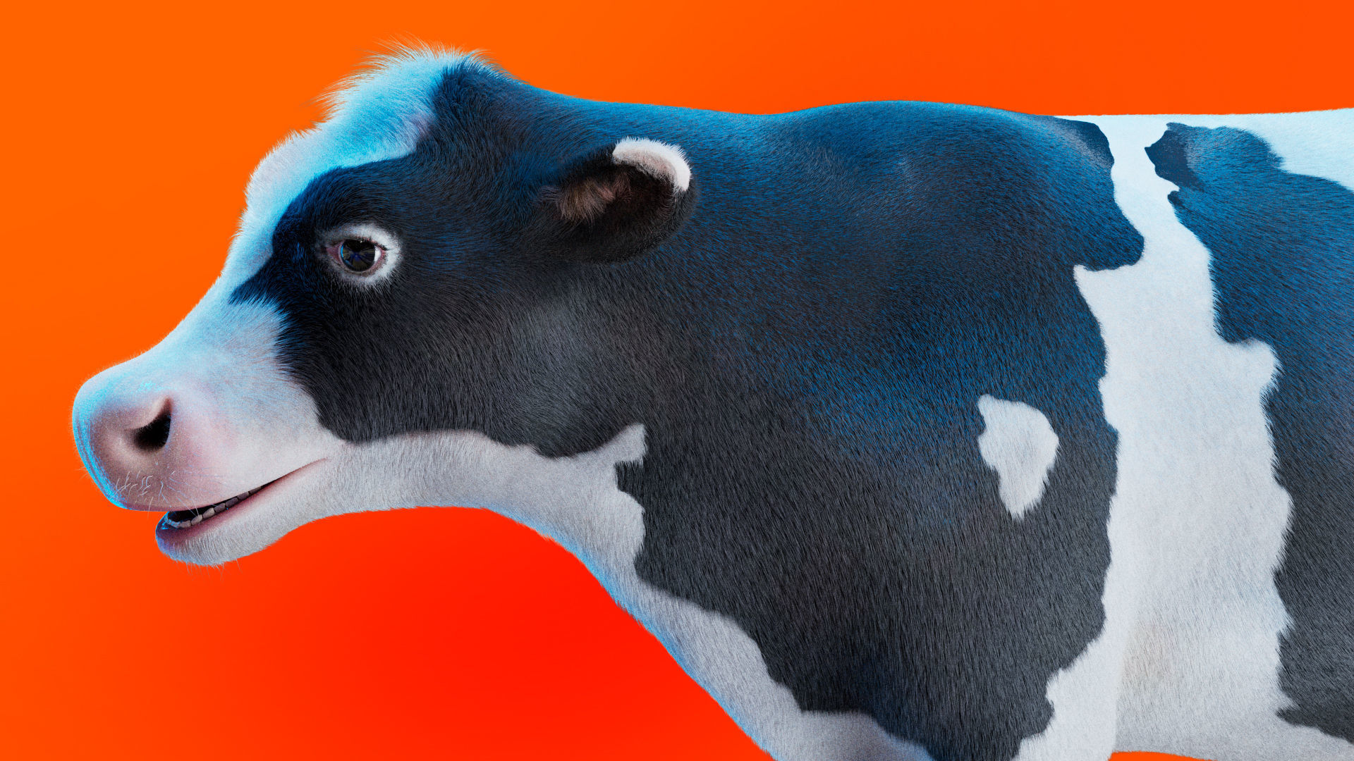 Cow Rigged Fur 3D model 3D model_4