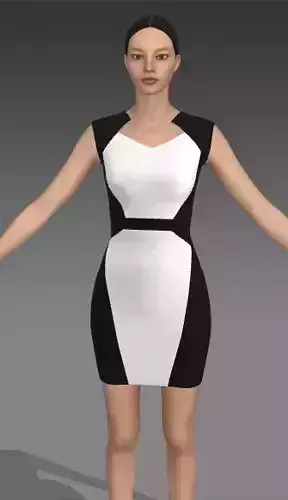 DRESS COLOR BLOCK BLACK AND WHITE HOURGLASS LOOK