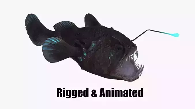 Angler Fish monkfish 3D model
