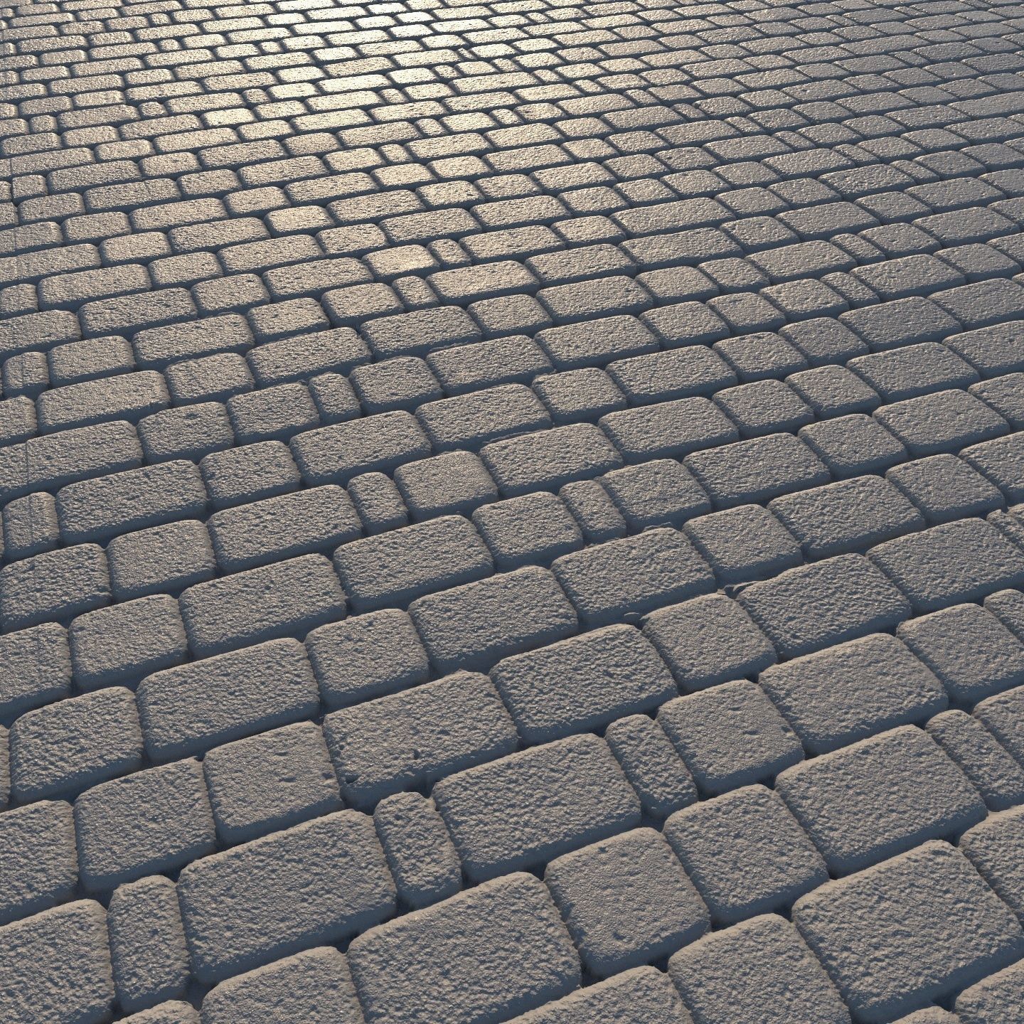  Paving slabs 04 3D model_5