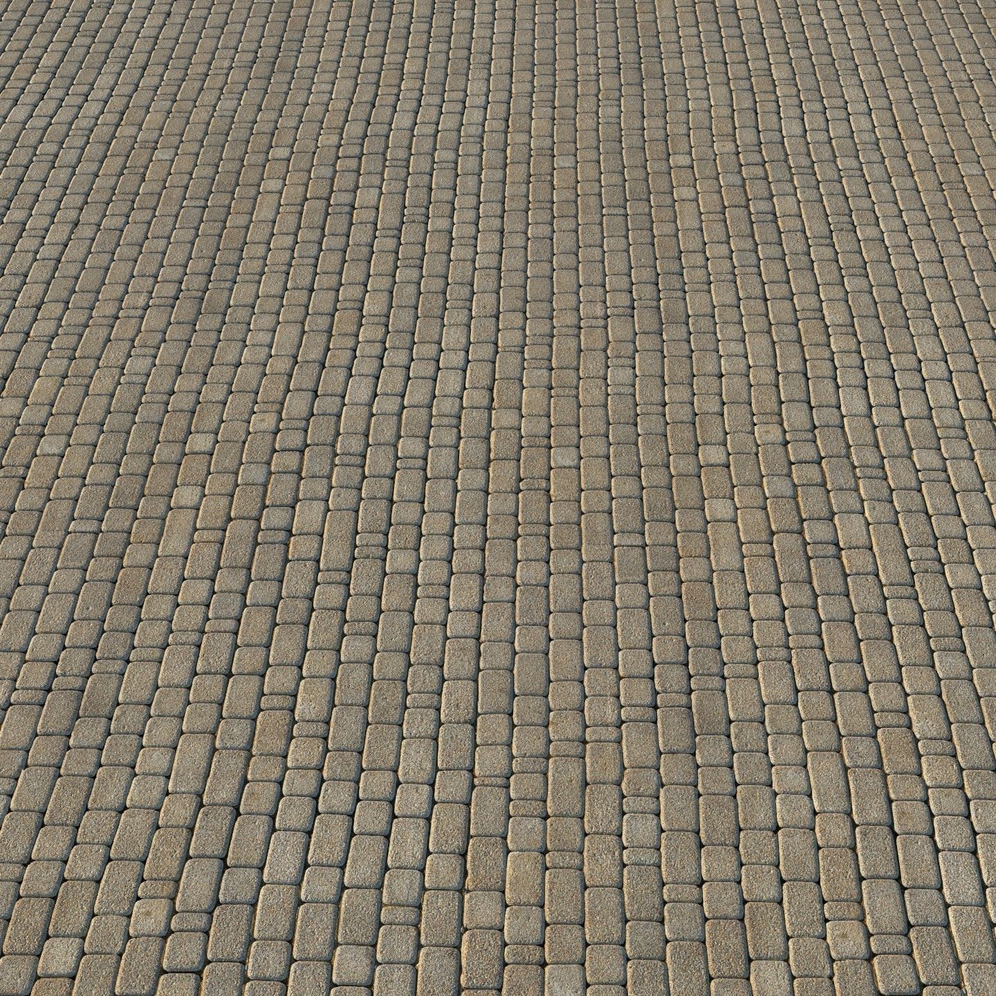  Paving slabs 04 3D model_3