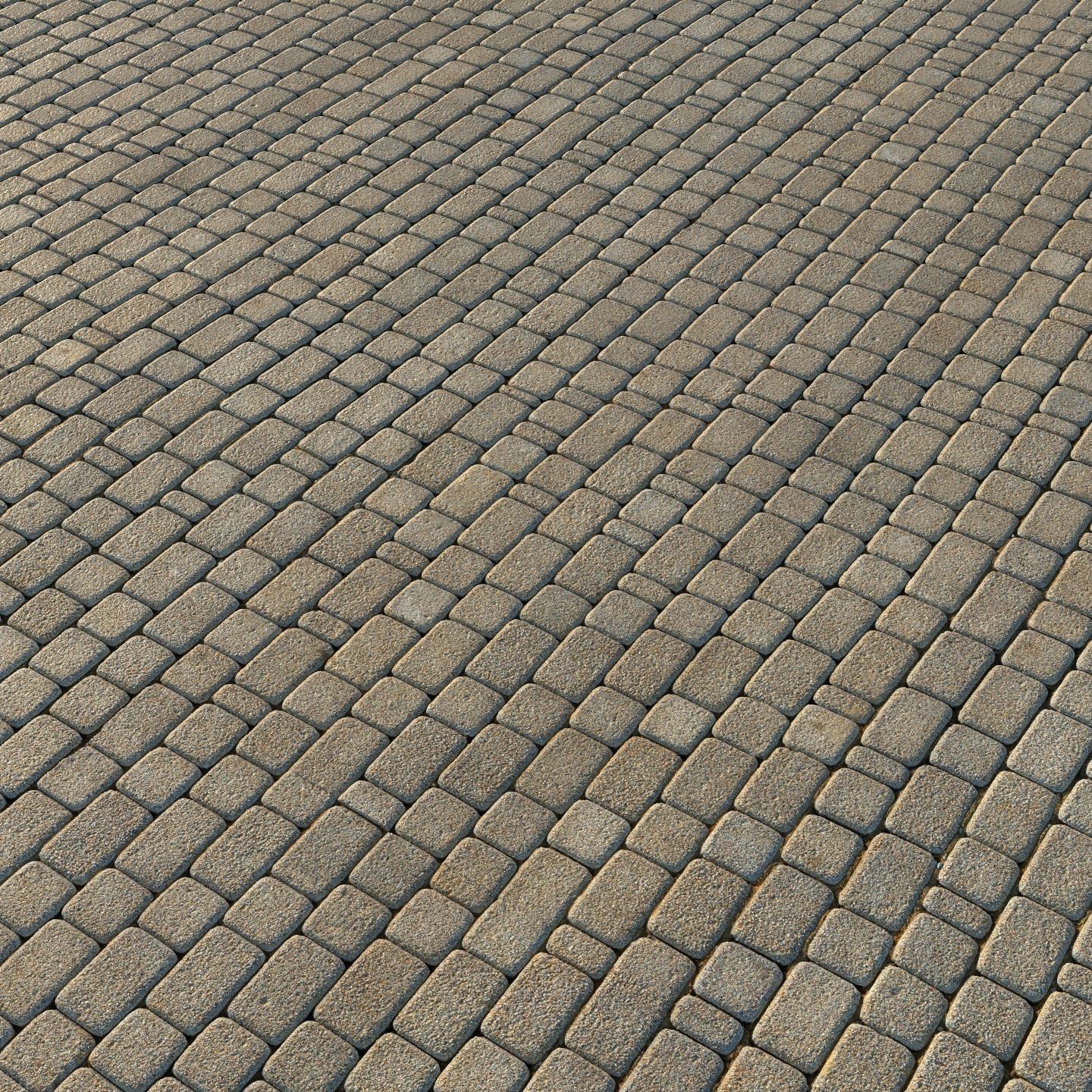  Paving slabs 04 3D model_2