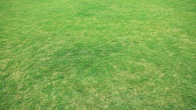 Grass background Free 3D model