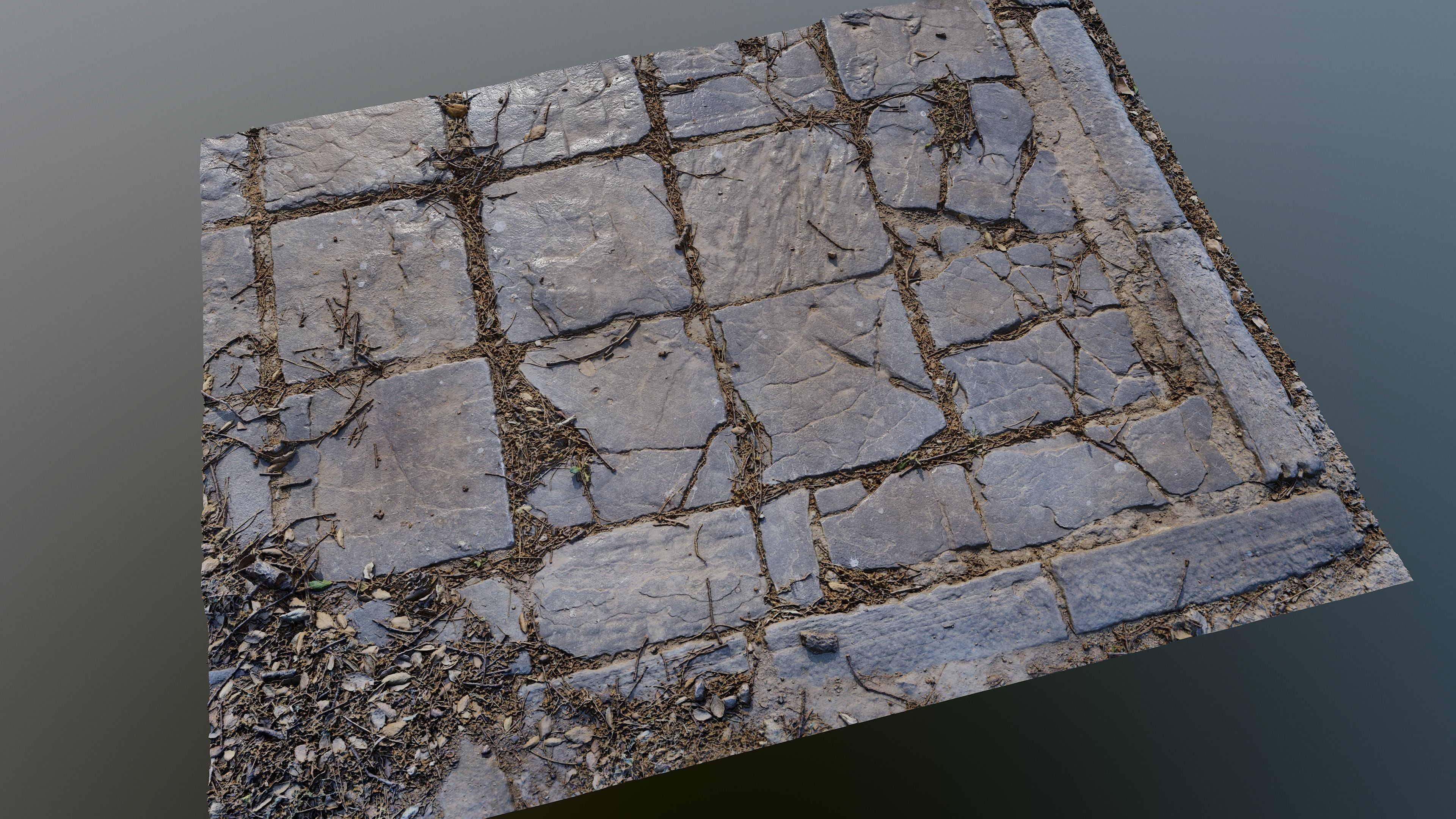 Tilescan02 stone floor with cracks in it 3D model_1