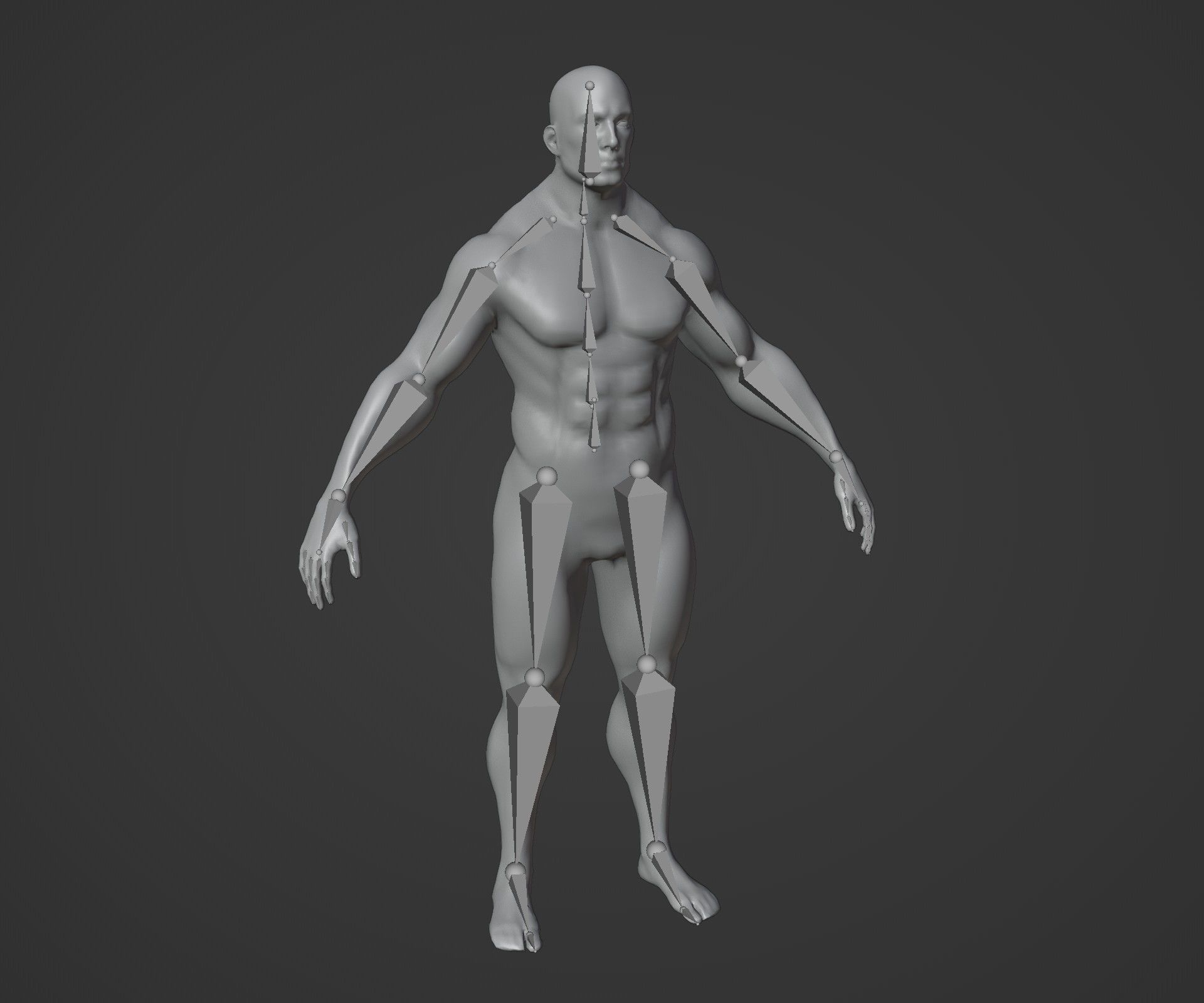 Strong Male Female Body Base Mesh Animated Rigged 3D Model 20k Low-poly 3D model_6