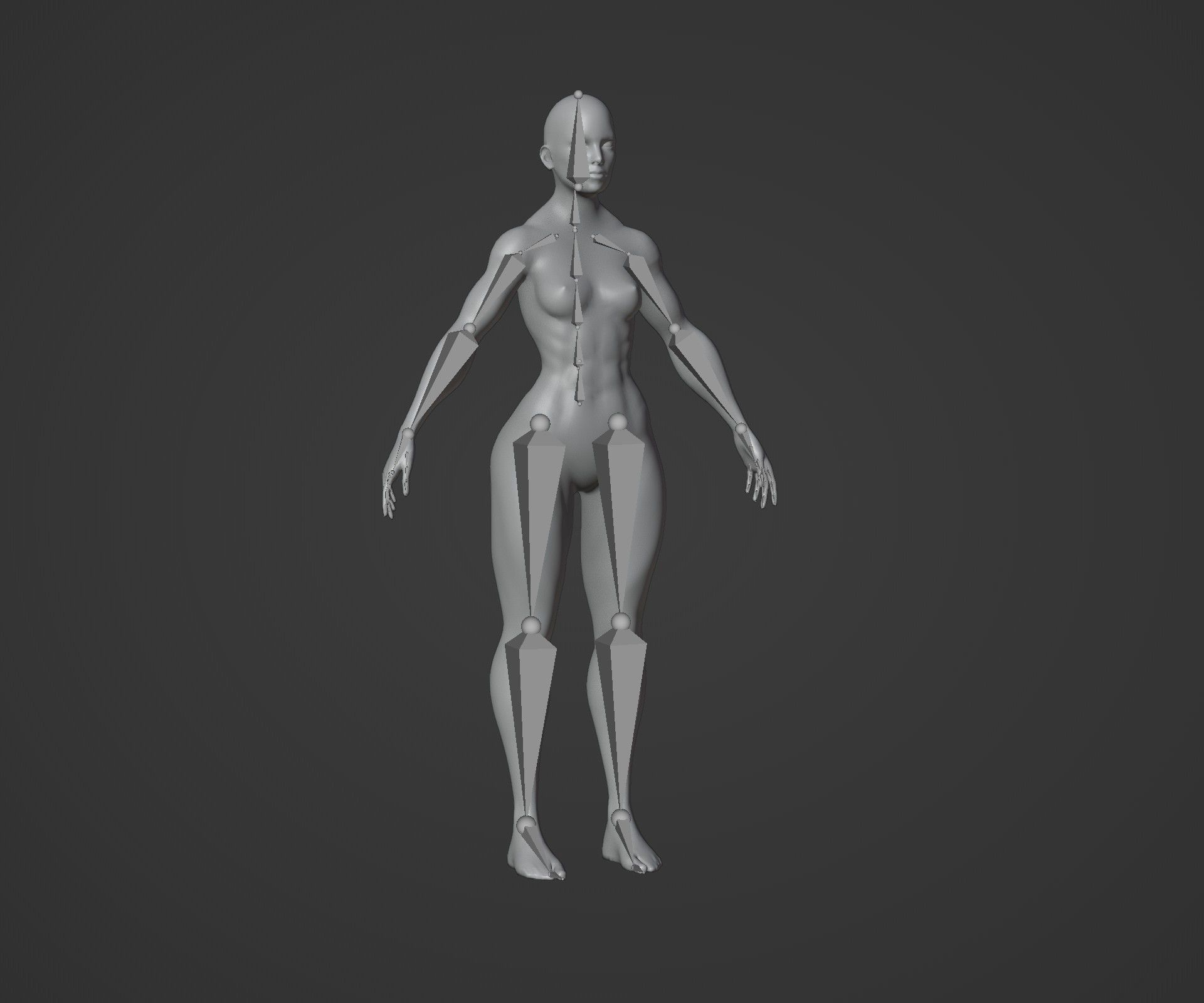 Strong Male Female Body Base Mesh Animated Rigged 3D Model 20k Low-poly 3D model_9