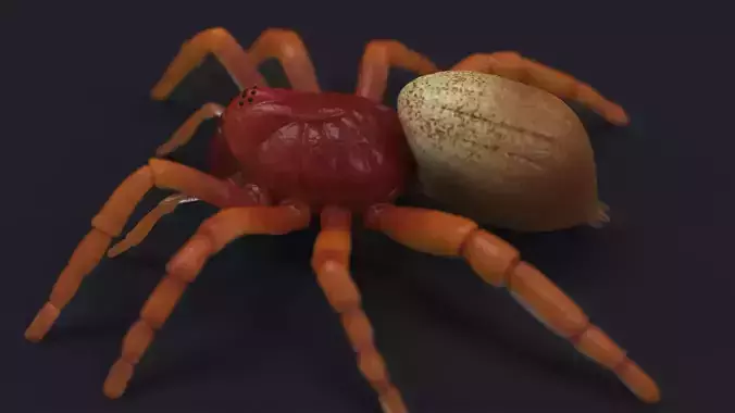 Spider stl 3D print model