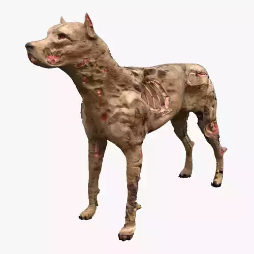 Zombie Dog 