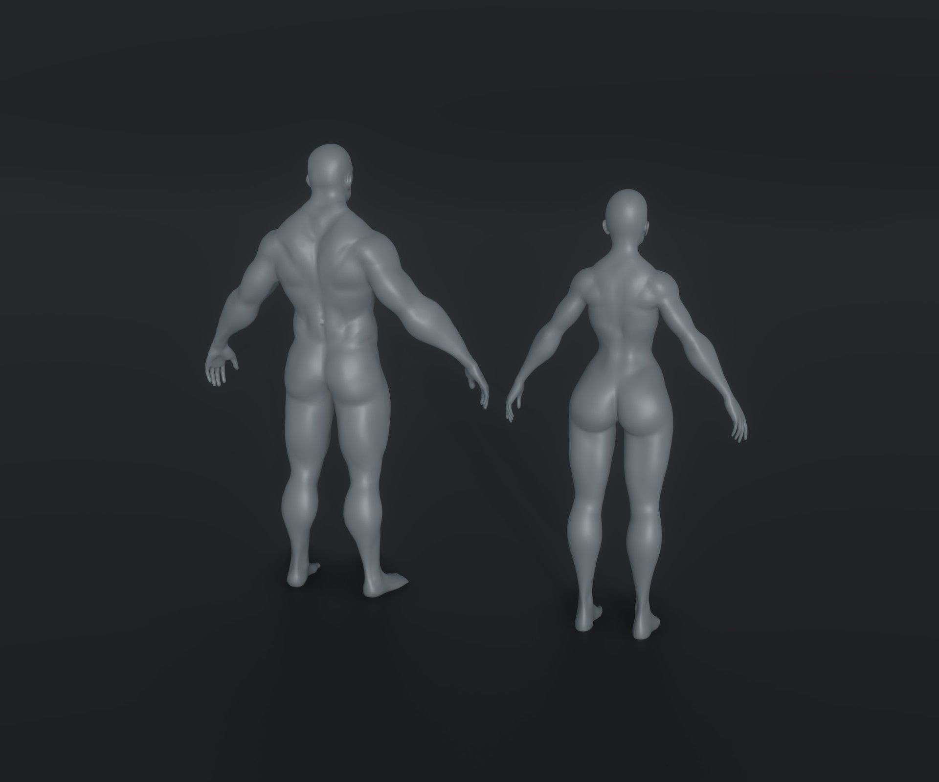 Strong Human Body Base Mesh Animated Rigged 3D Model 20k 3D Model Collection_3