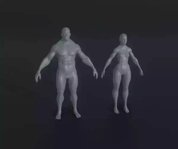 Strong Human Body Base Mesh Animated Rigged 3D Model 20k 3D Model Collection