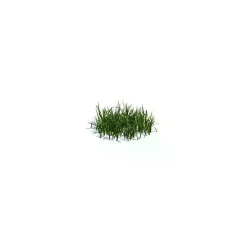 Garden Decorator Grass 3D model