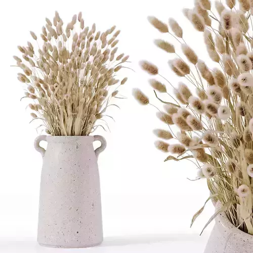 Lagurus in ceramic vase