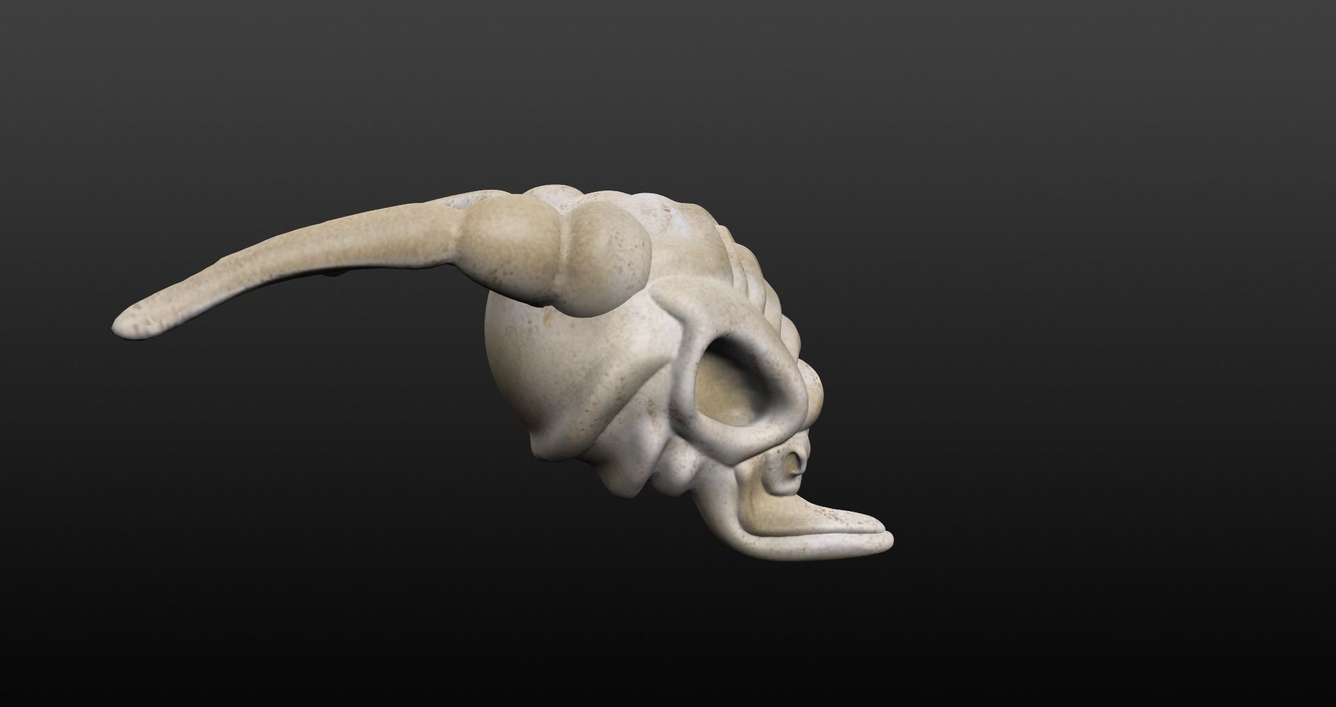 Skull goat head Low-poly 3D model_6