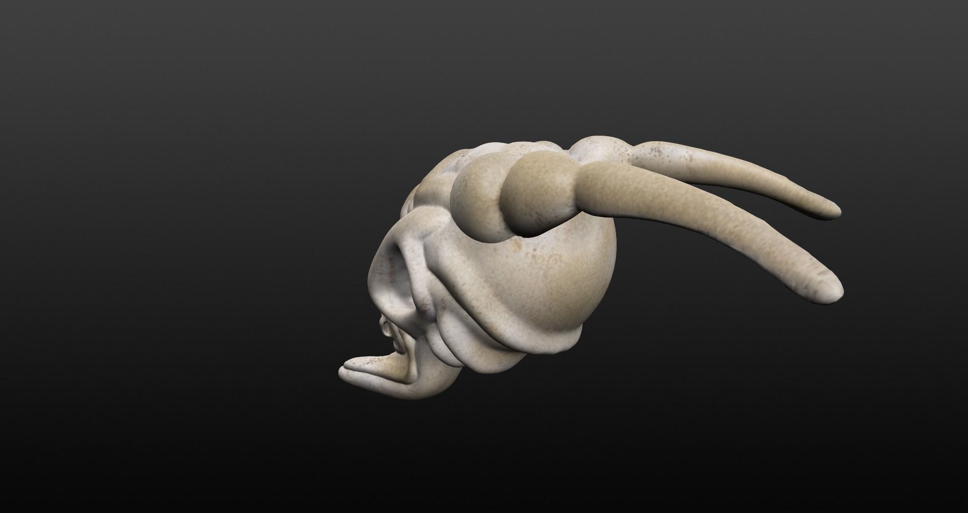 Skull goat head Low-poly 3D model_41